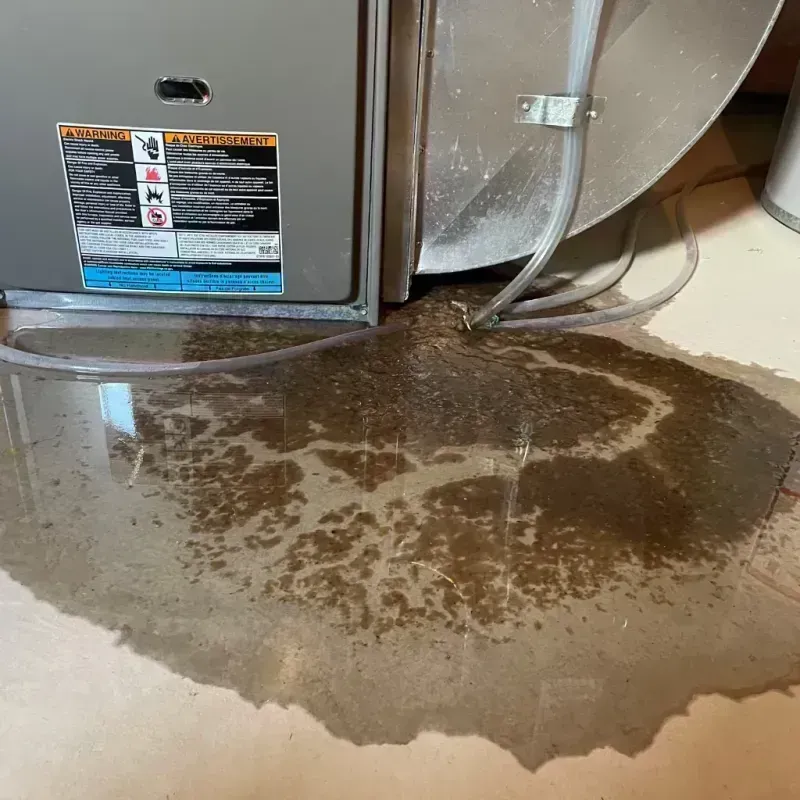 Appliance Leak Cleanup in Stover, MO